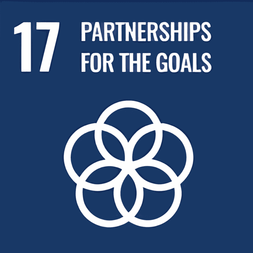 SDG 17
