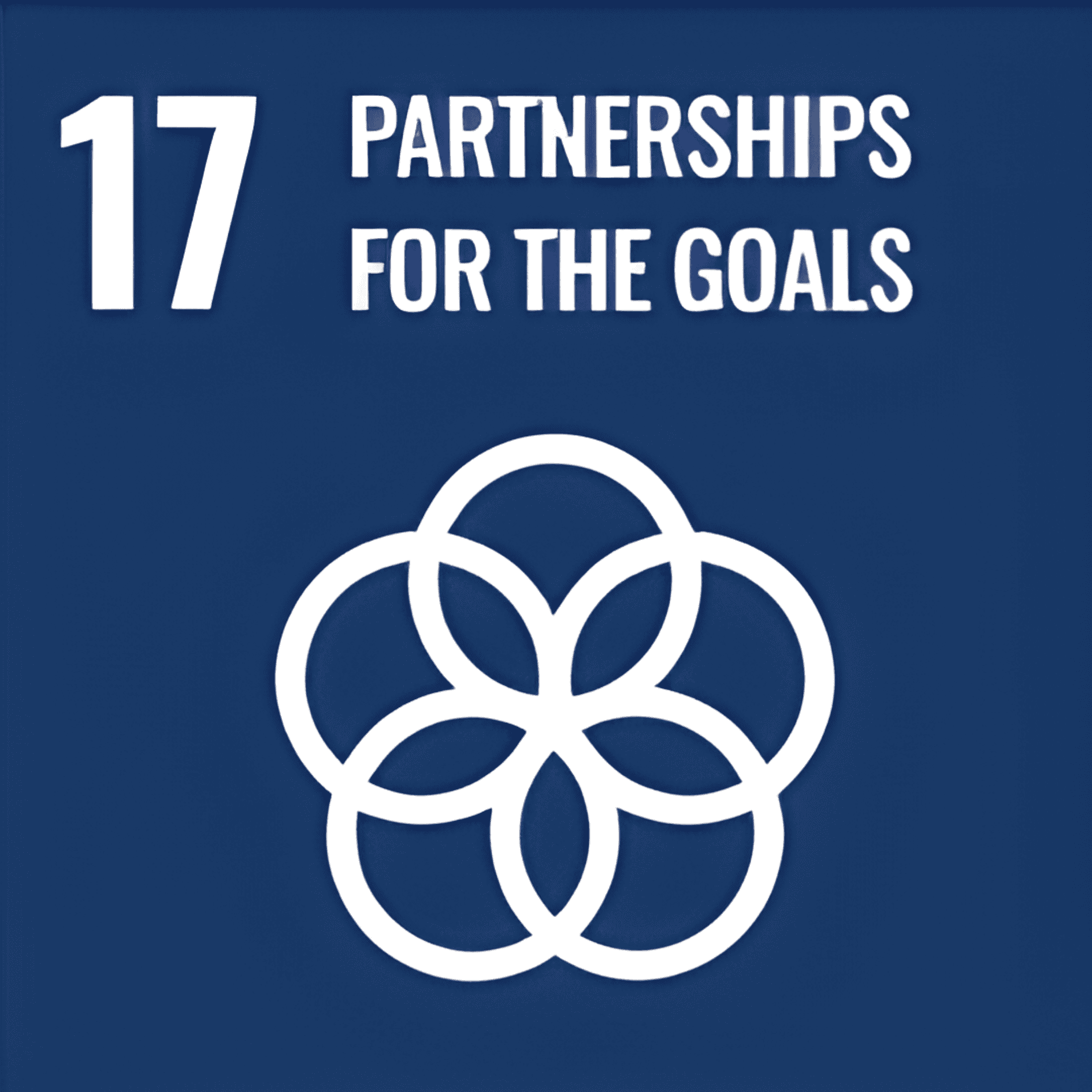 SDG 17 — Partnerships for the Goals