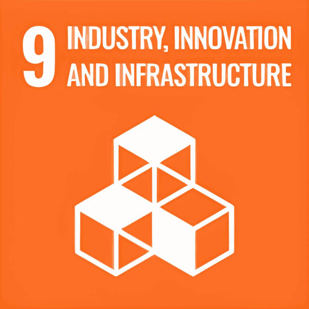SDG 9